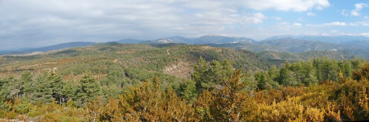 Panorama zabalak Landeta/Valdefuesatik