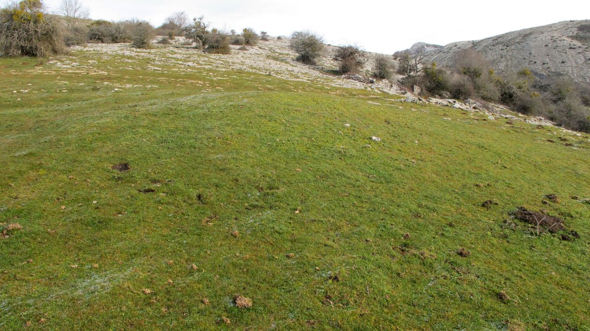 Belokiko Txabola etxola hondoa, Urbasa