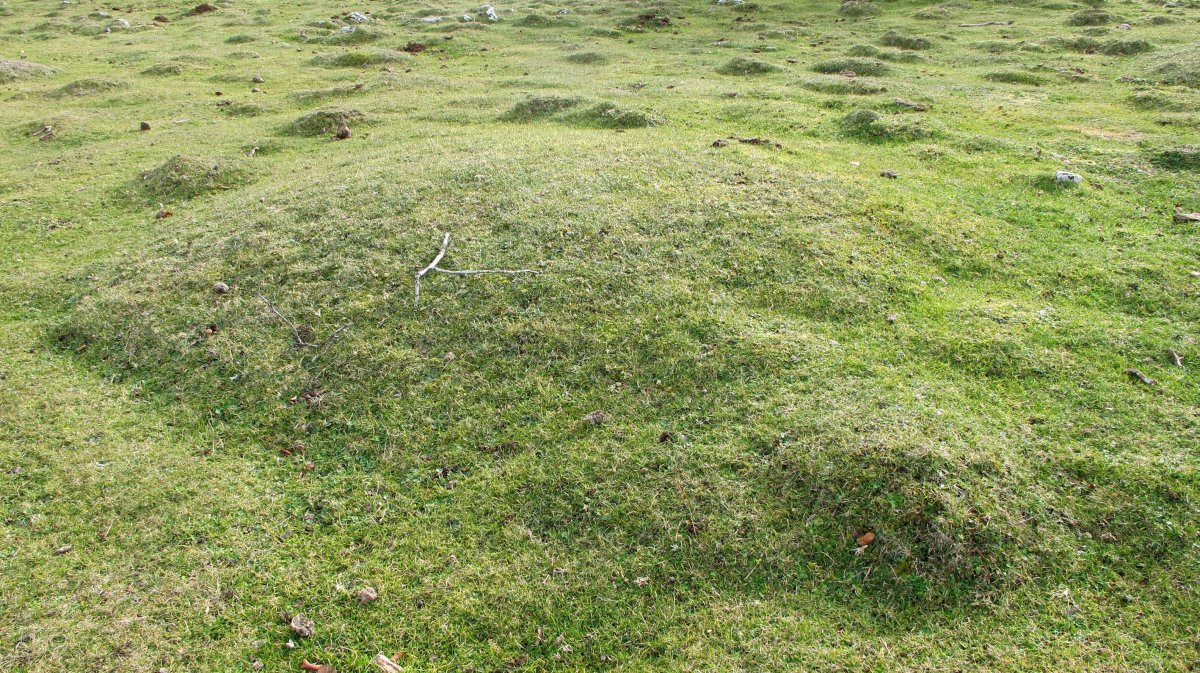 Ollide 1 Ipar etxola hondoa, Urbasa