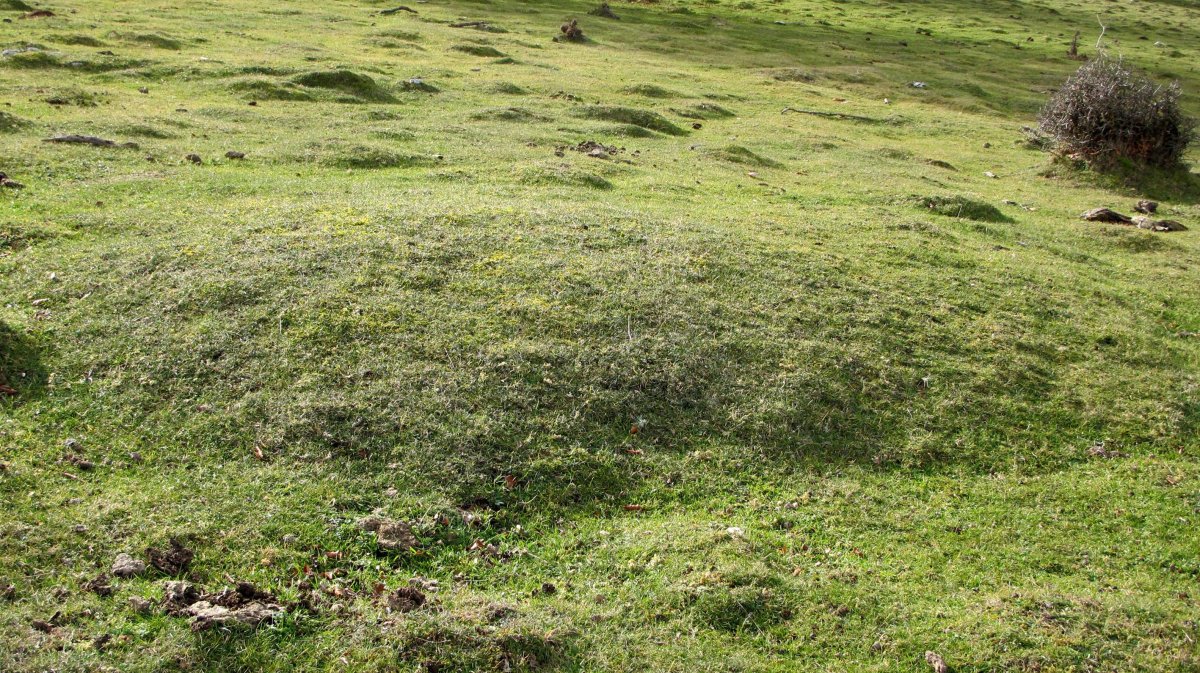 Ollide 2 Hego etxola hondoa, Urbasa