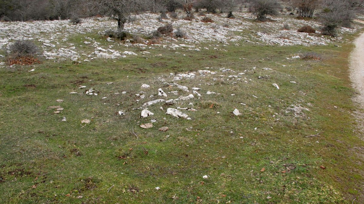 Tximua tumulua, Urbasa