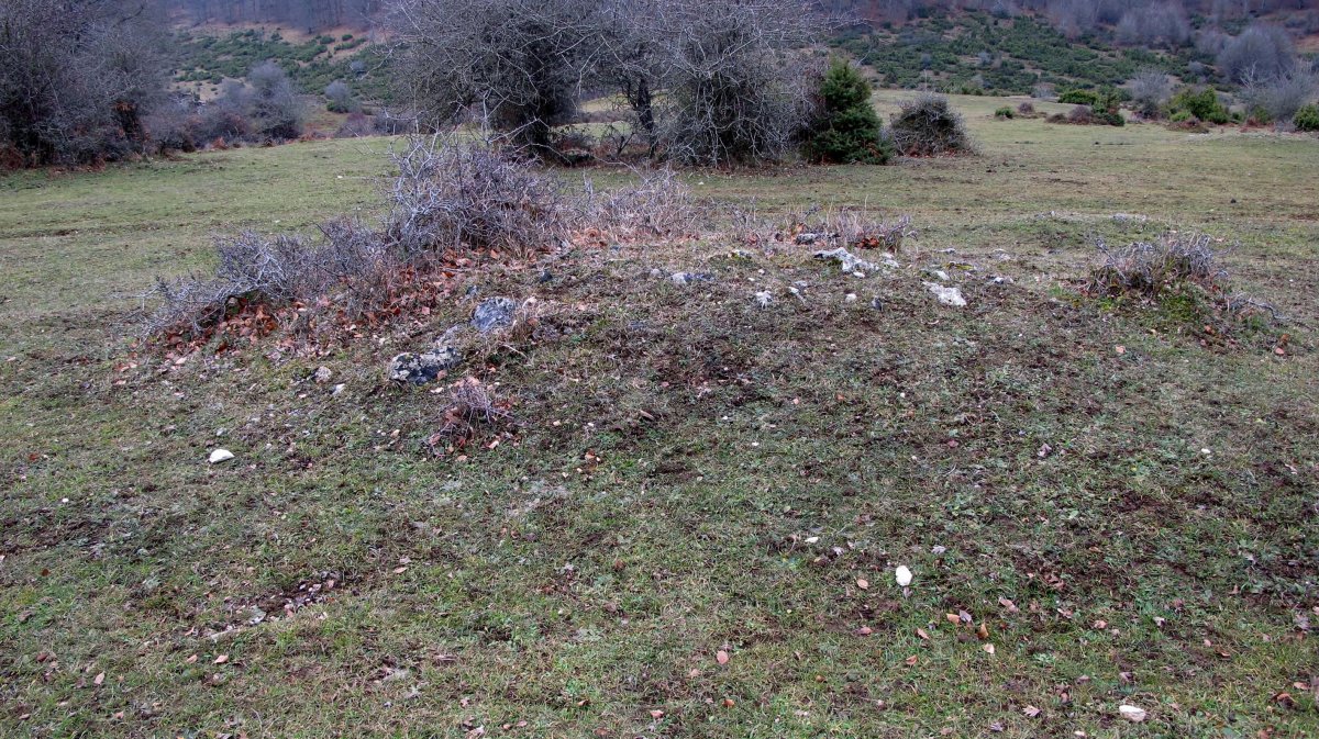 Larraonako bidea hego (2-UTM-561167-4738483)