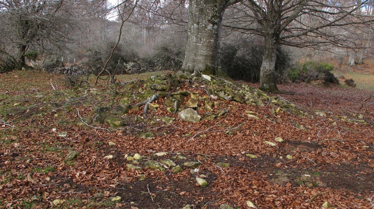 Ostalaza 3 (7-UTM-560139-4738545)