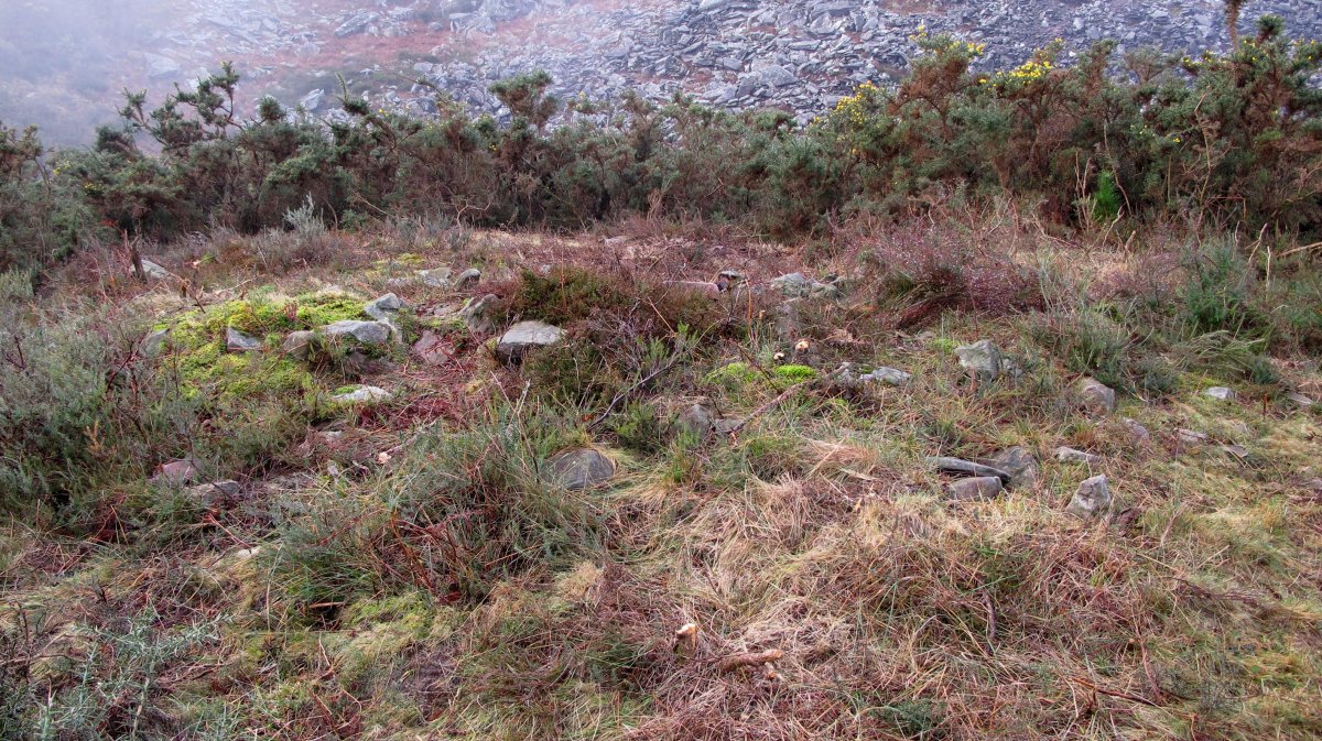 Androla II Hego trikuharria, Azkaine