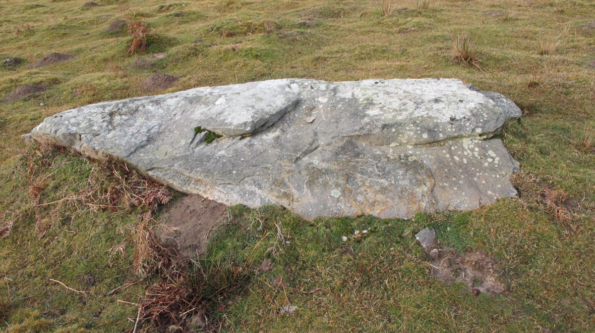 Ihizelaia zutarria, Azkaine