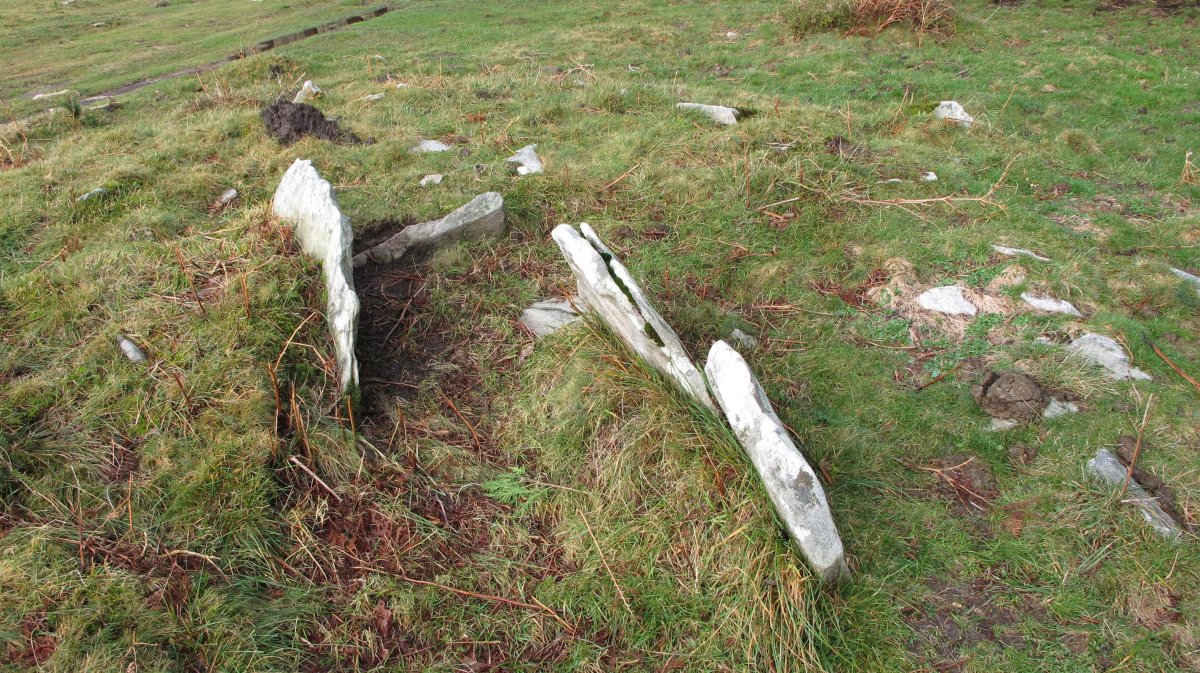 Ihizelaia trikuharria, Azkaine