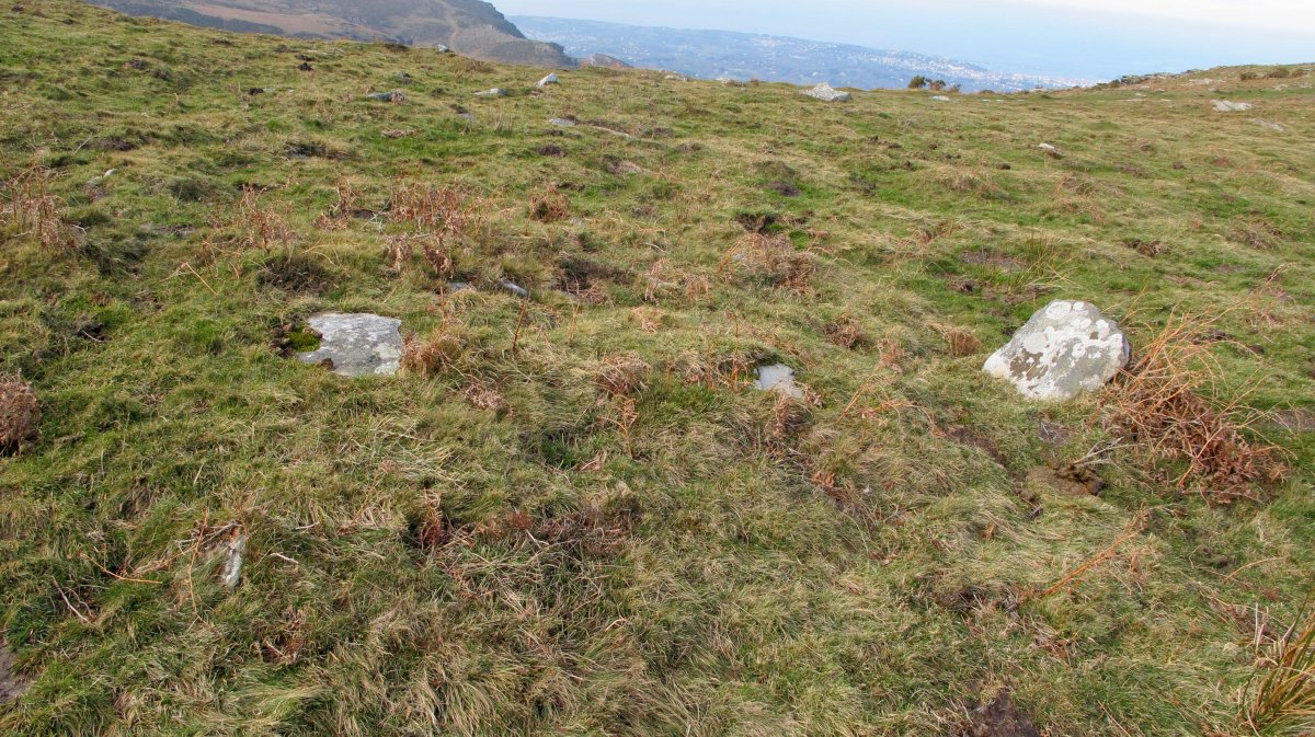 Sualar harrespila, Sara