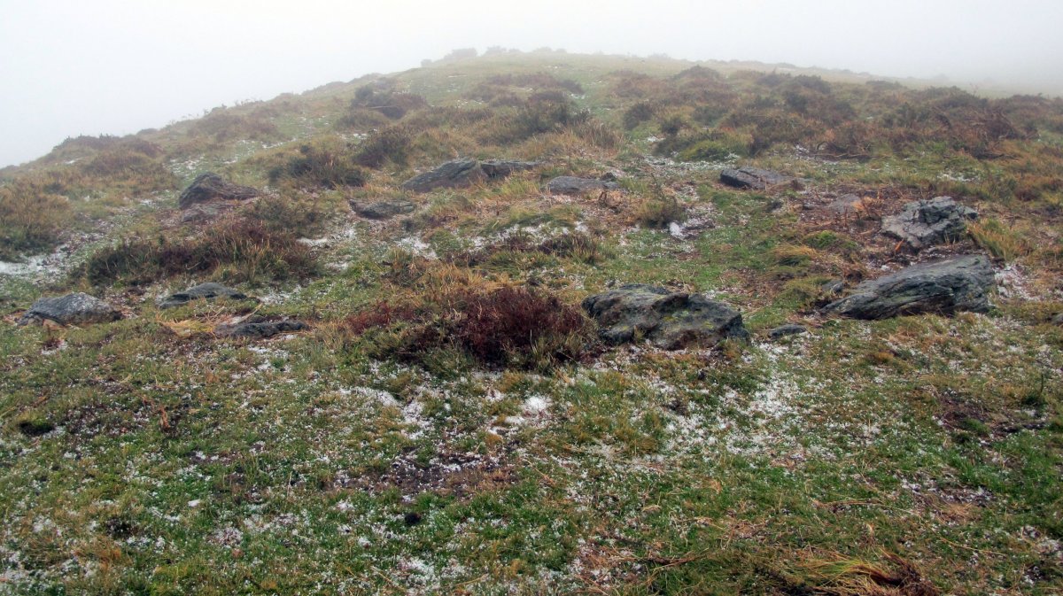 Urtsuia harrespila, Makea