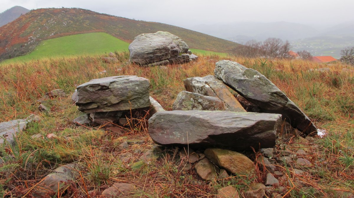 Artxuita trikuharria, Irulegi