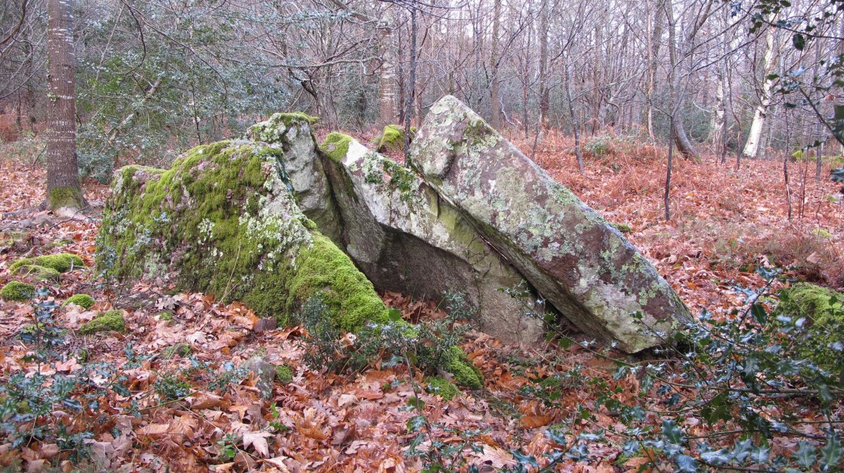 Arrondo trikuharria, Irulegi