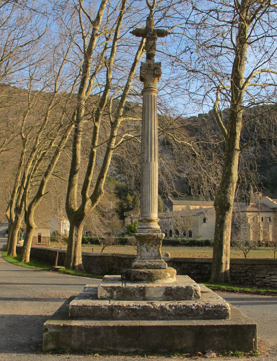 Irantzuko kruzeroa, Abartzuza