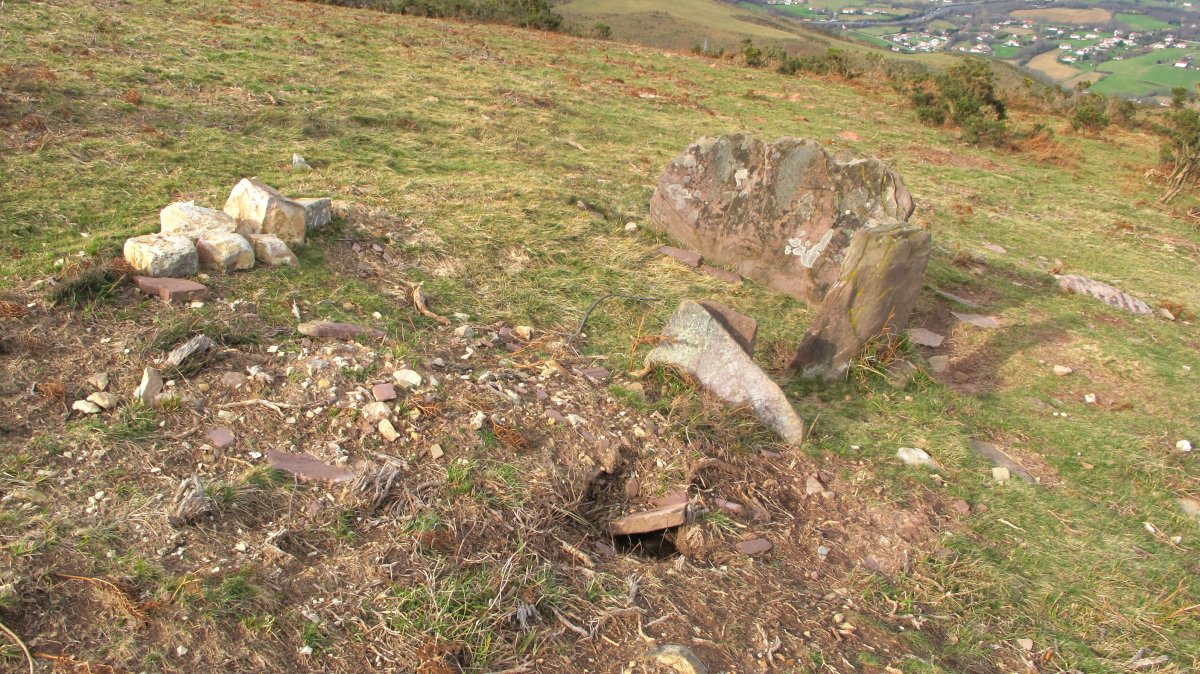 Urbisi 2 hego, trikuharria