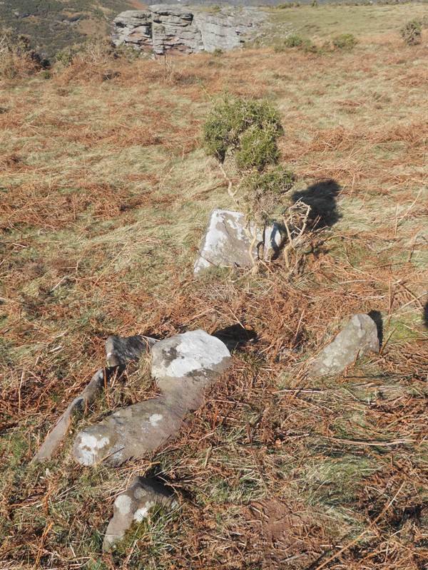 Plateau Vert ipar zista