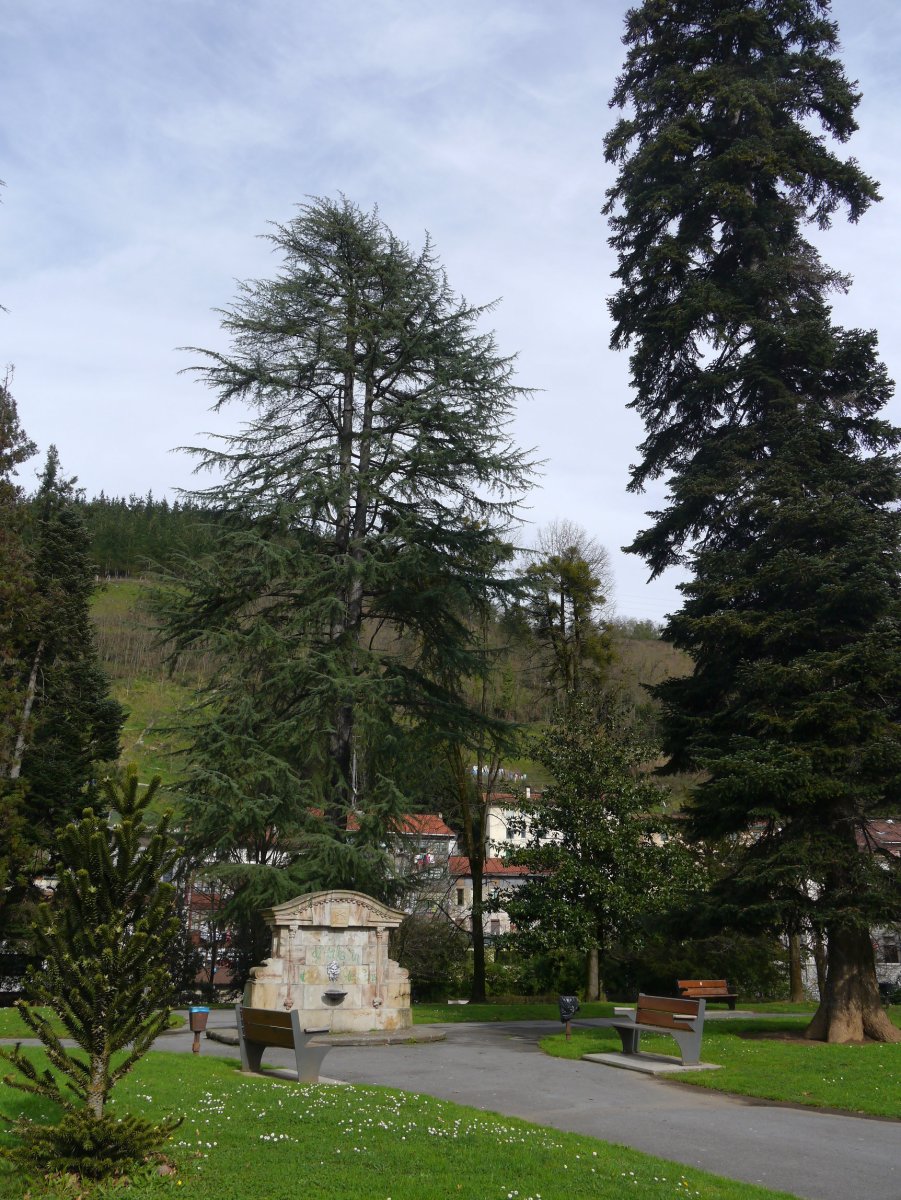 Usondo parkea, Bergara