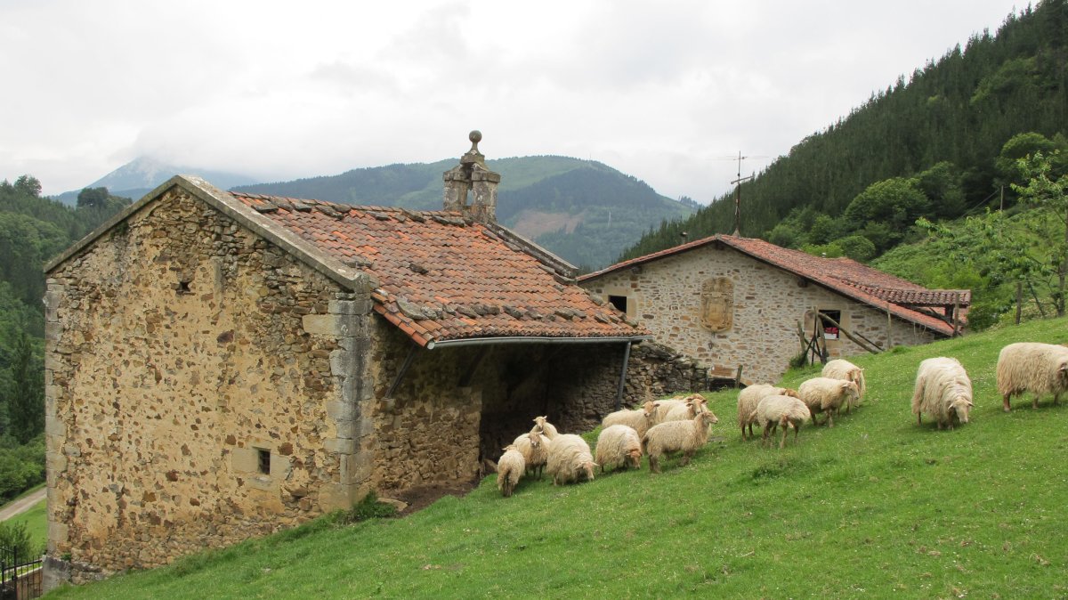 San Esteban eta Elkoro Barrutia baserria, Bergara