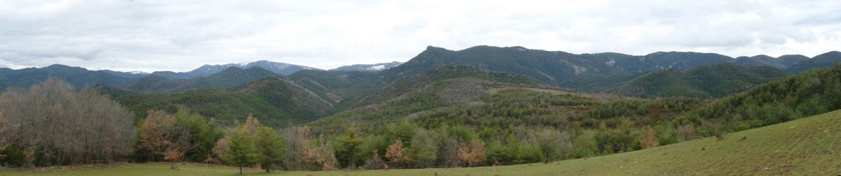 Urraulgo mendiak Salbatoritik