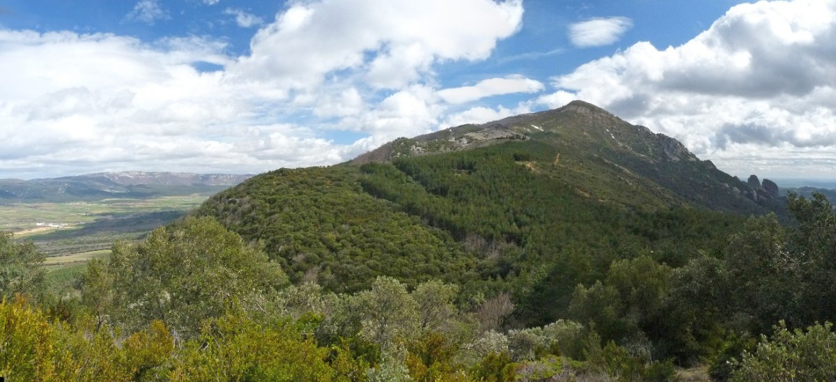 Ioar Sierra Txikitatik