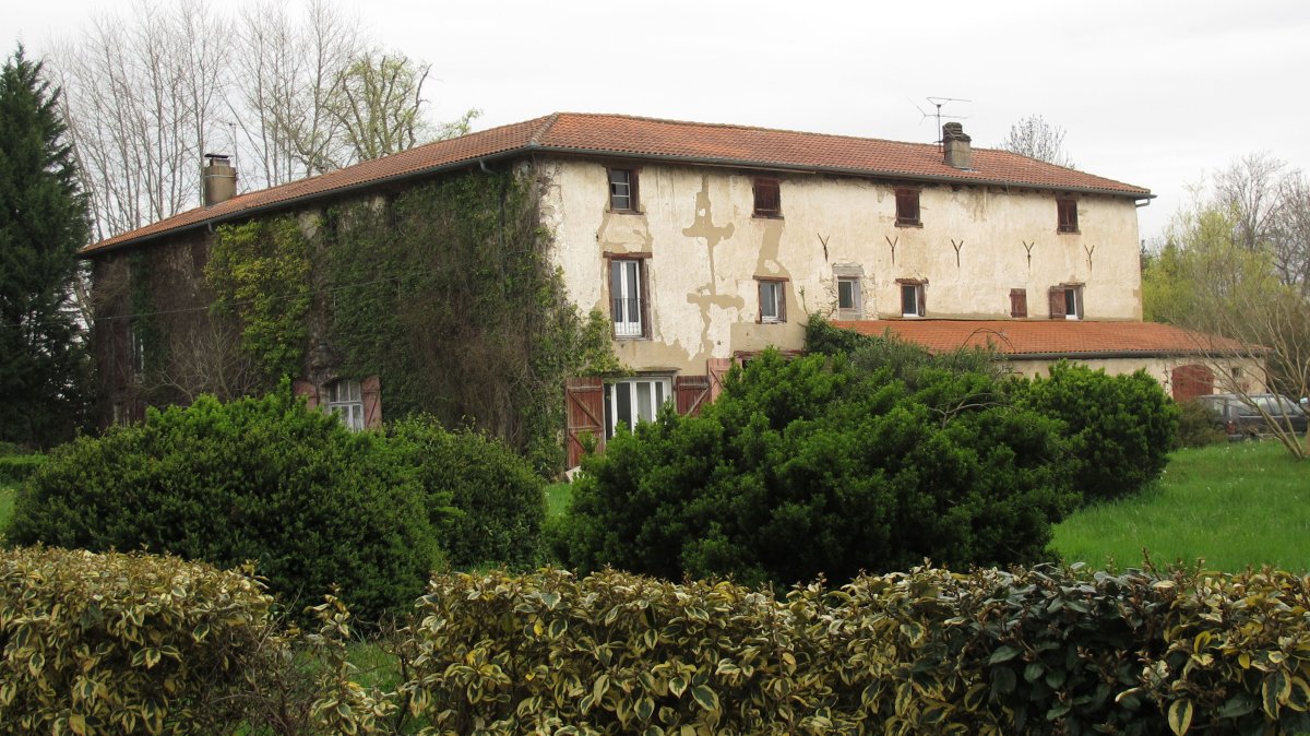 Naguile jauregia, Mugerre