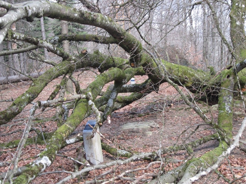 Dólmen Aitxu y Dólmen Praalata.