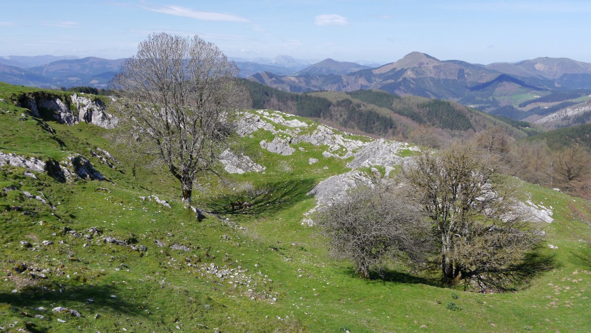 Tontorraren inguruak