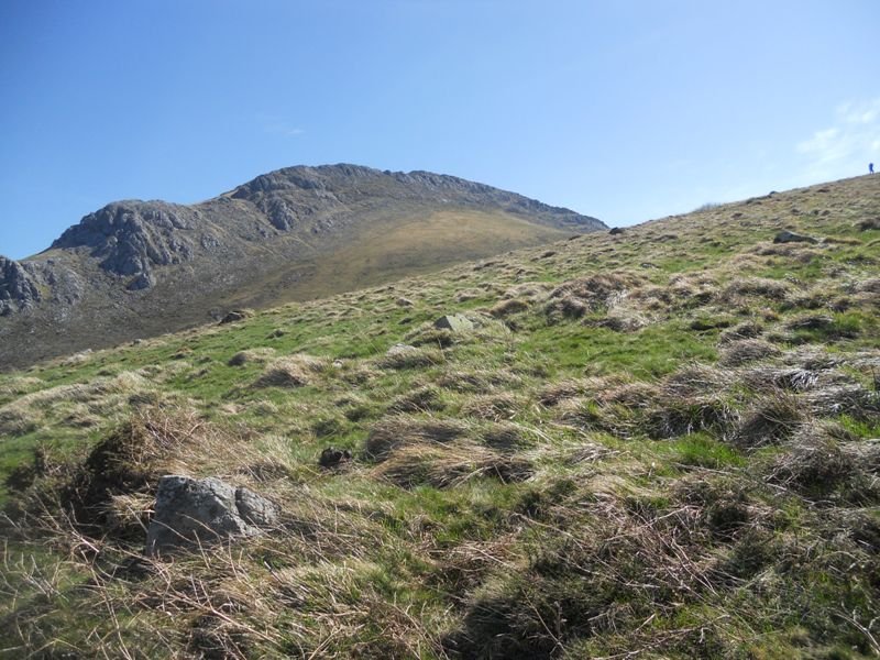 behorlegi mendebalde 2