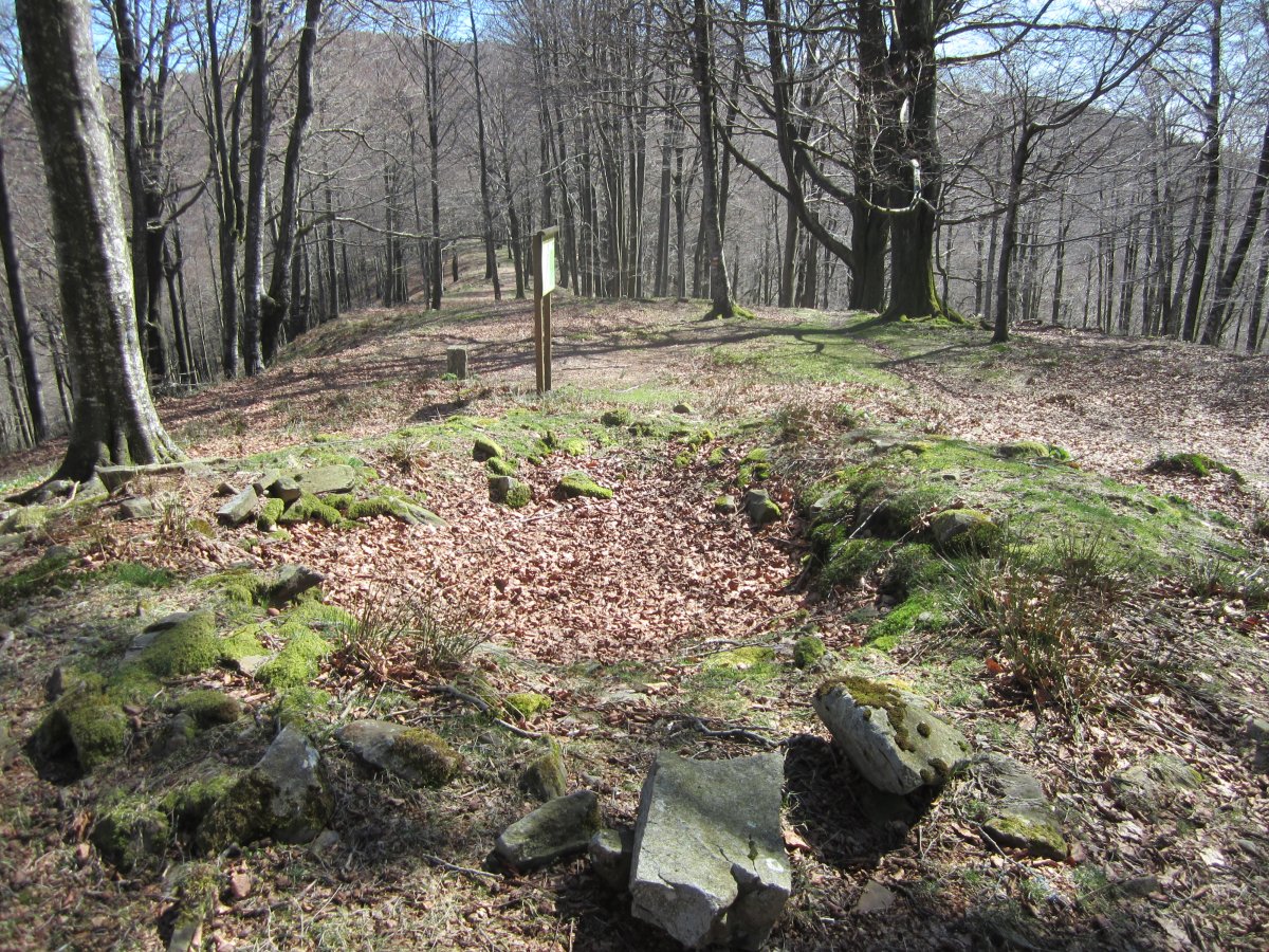 Mintegitxuta. Abril 2013