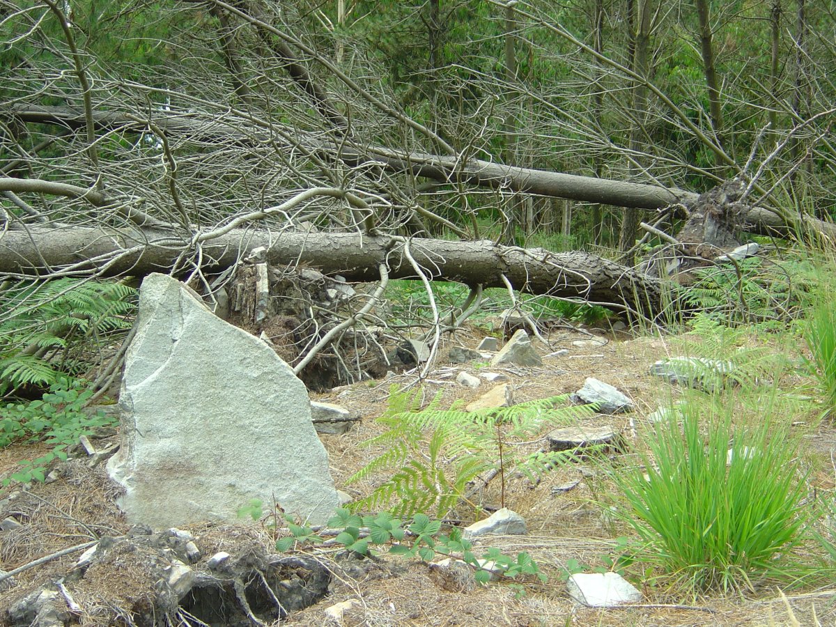 Dólmen Añabusti  Julio 2009