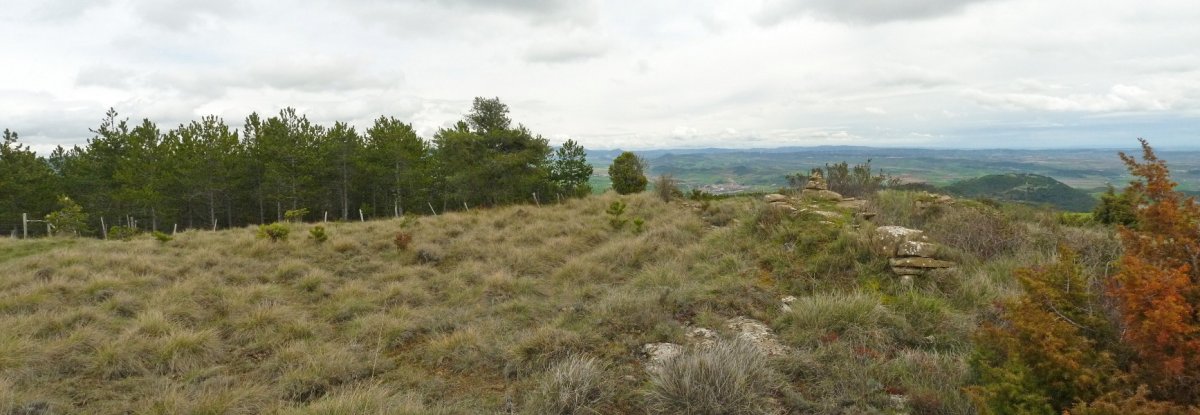 Markalagaingo gailurra