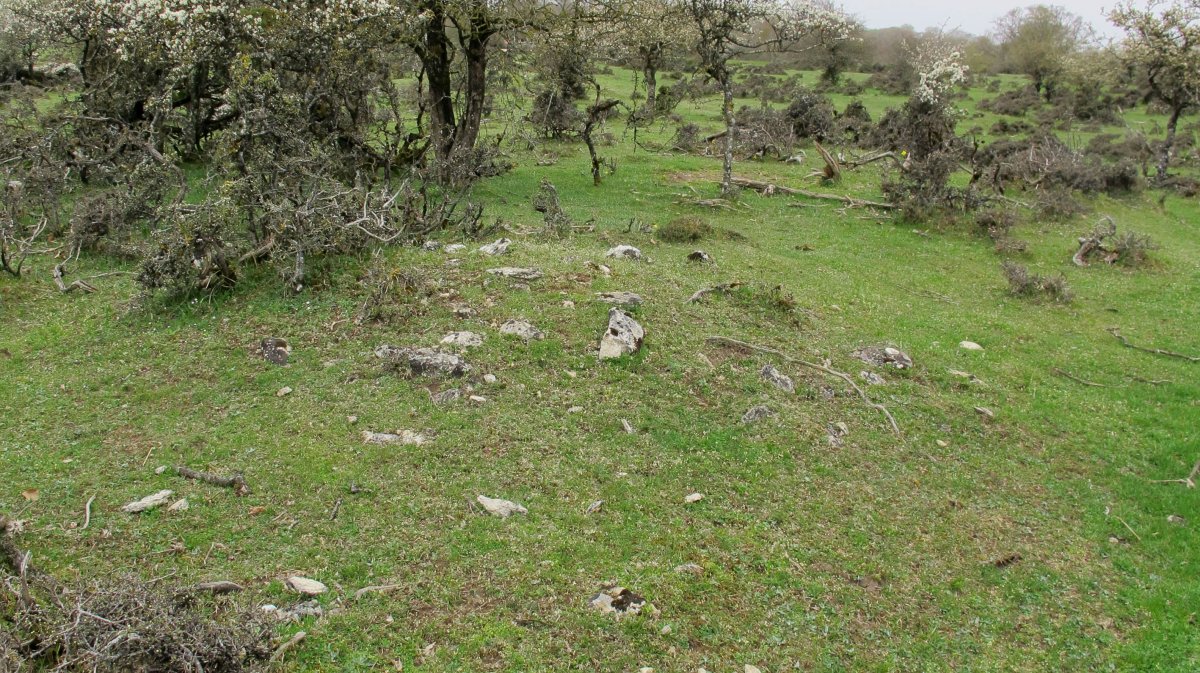 Rasos de Ezpola 1 tumulua, UTM. 567030/4738699/945 m.