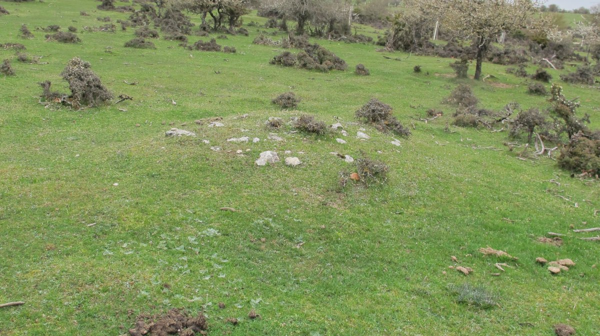 Rasos de Ezpola 2 tumulua, UTM. 567006/4738687/944 m.