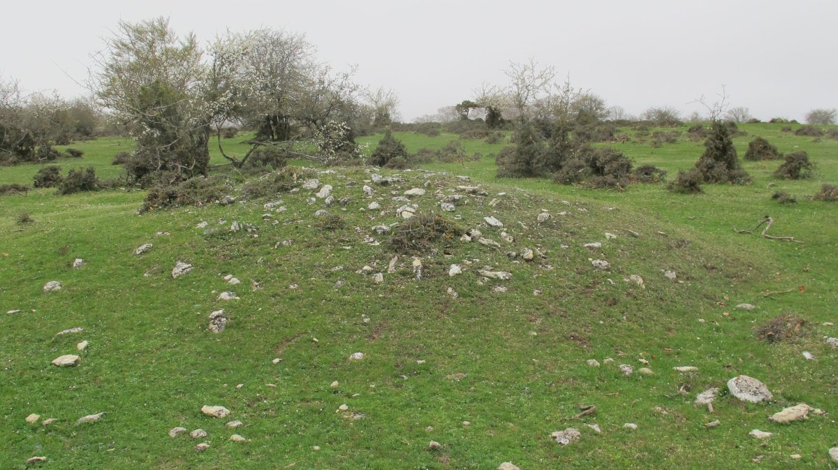 Rasos de Ezpola 3 tumulua, UTM. 566995/4738637/947 m.