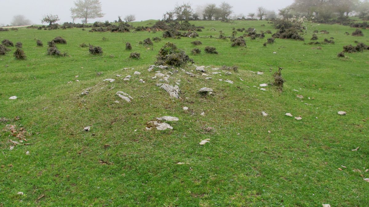Rasos de Ezpola 9 tumulua, UTM. 566881/4738712/947 m.