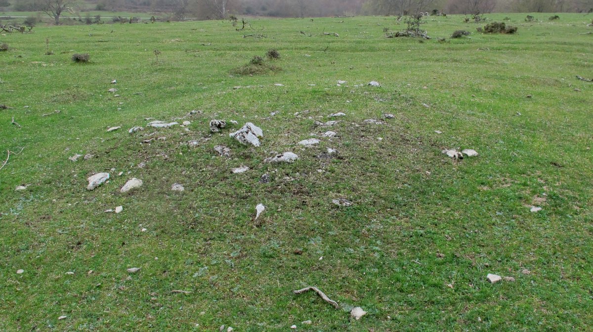 Rasos de Ezpola 13 tumulua, UTM. 567087/4738624/940 m.