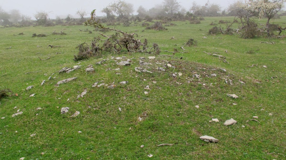 Rasos de Ezpola 14 tumulua, UTM. 567063/4738611/942 m.