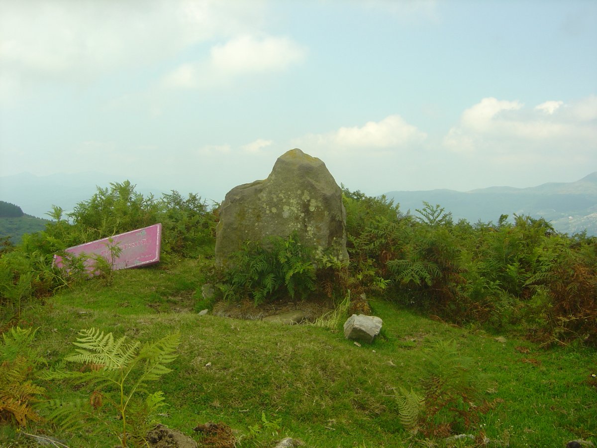 Menhir Ilso de Perutxote