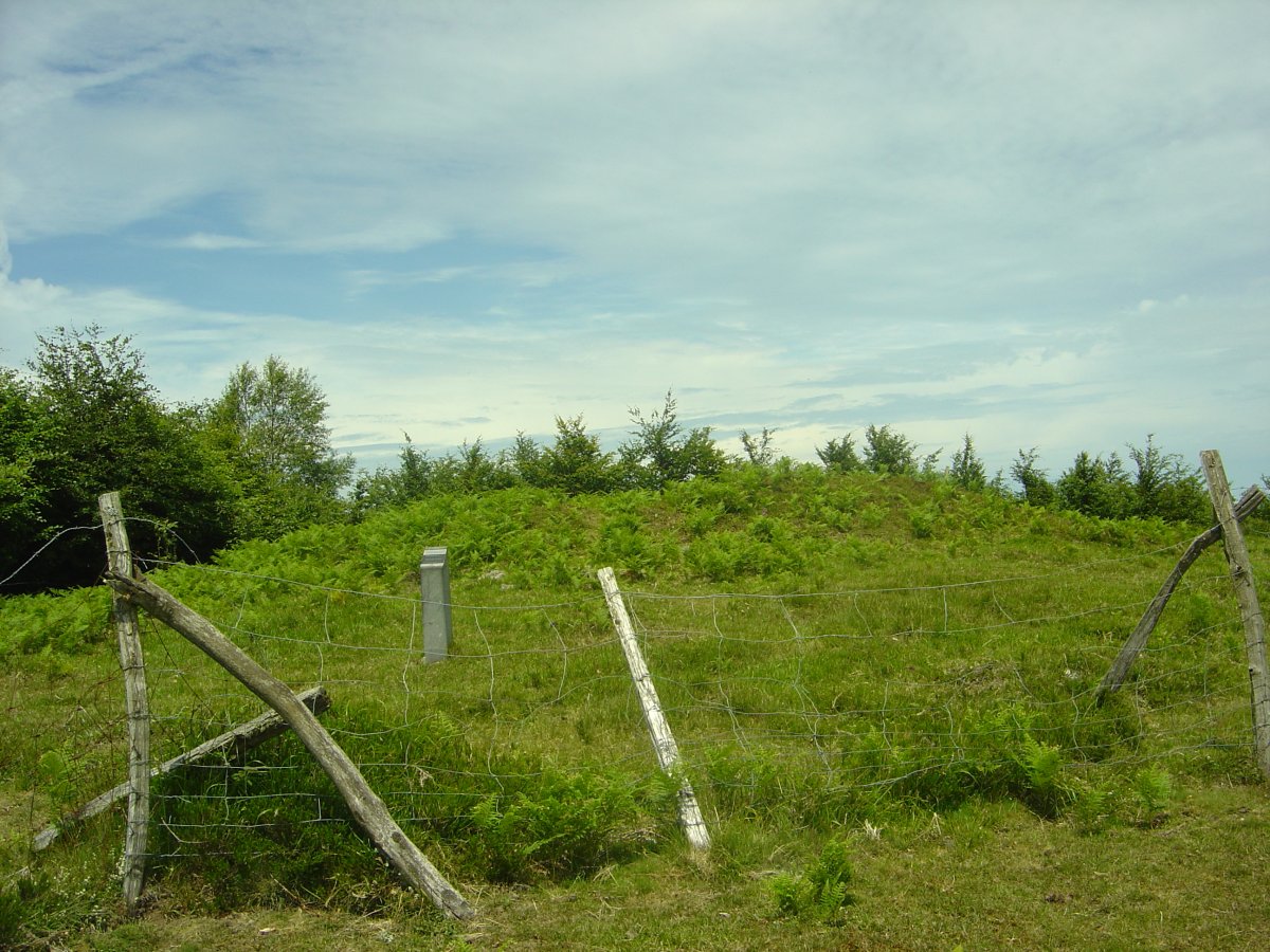 Dólmen Probazelaiburu 2  (Junio 2011)