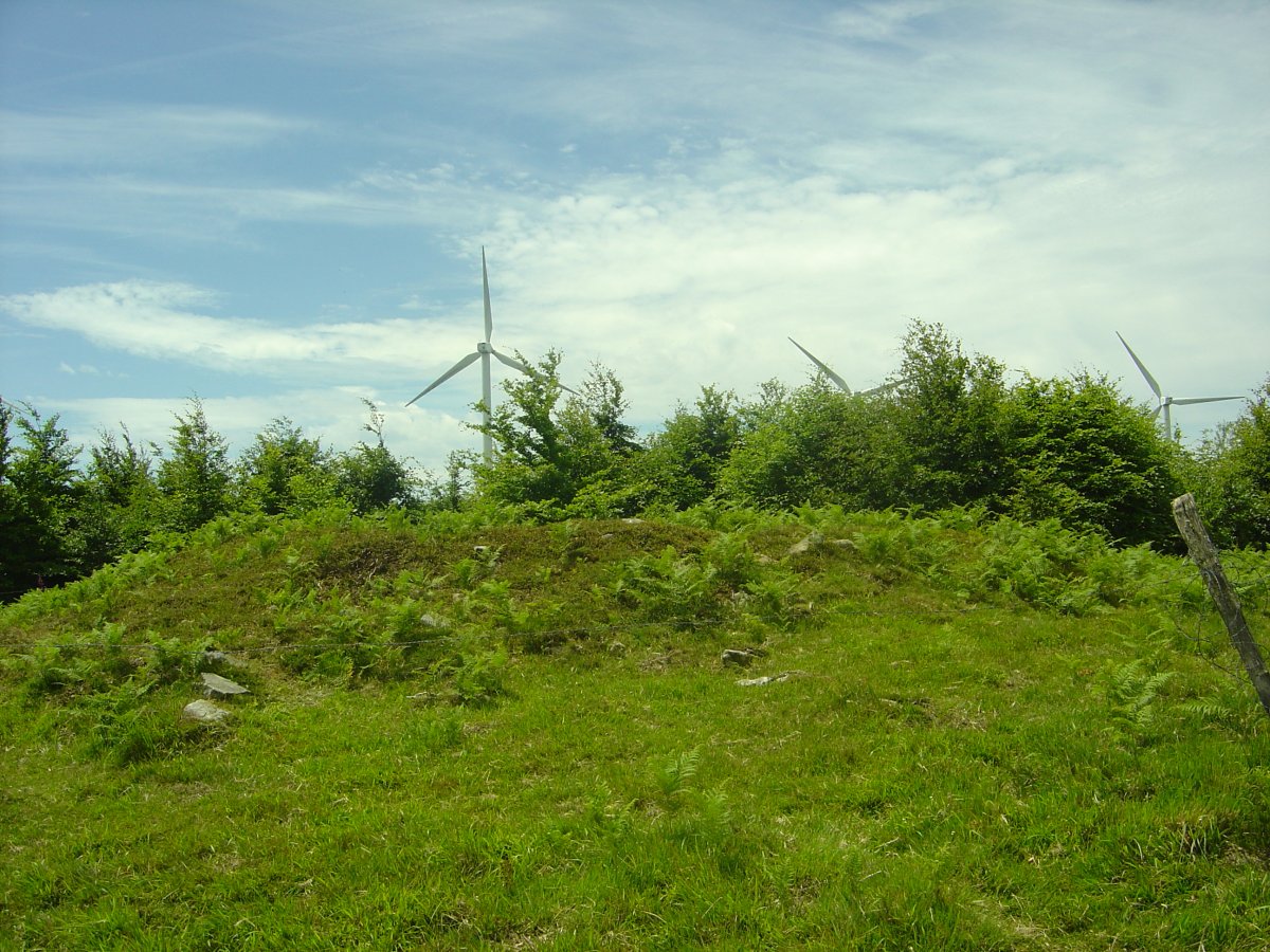 Dólmen Probazelaiburu 2  (Junio 2011)