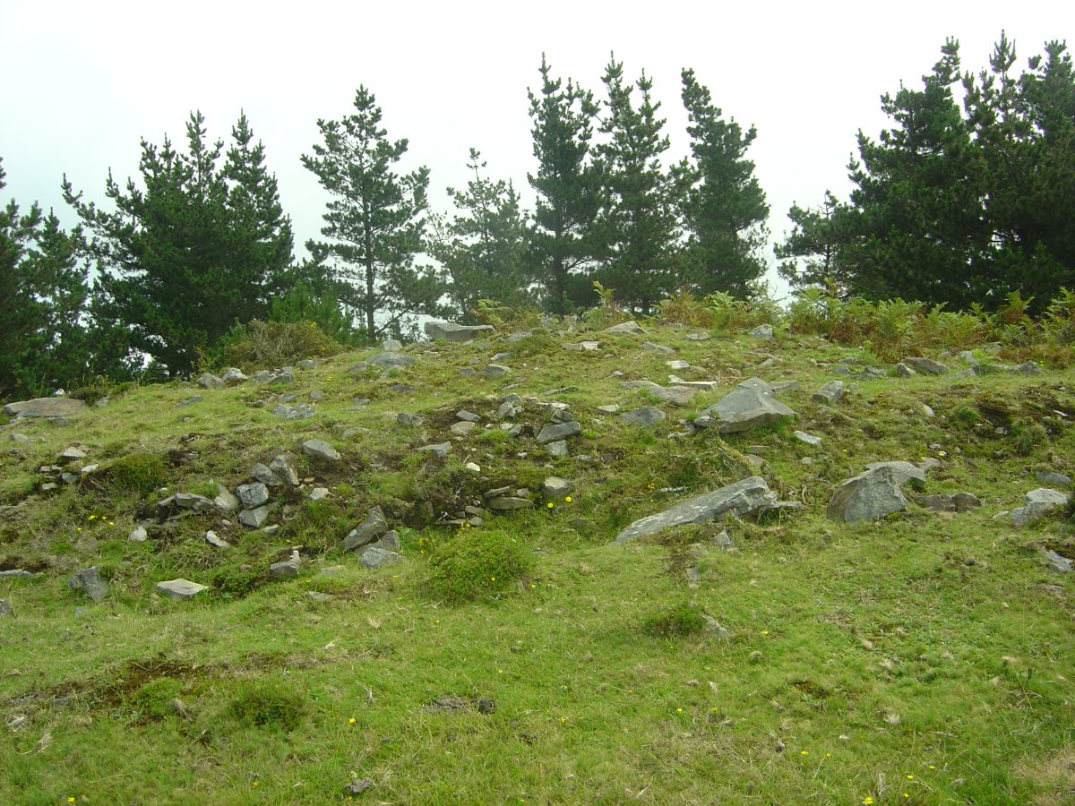 Túmulo Campo Ventoso 3    (Julio 2011)