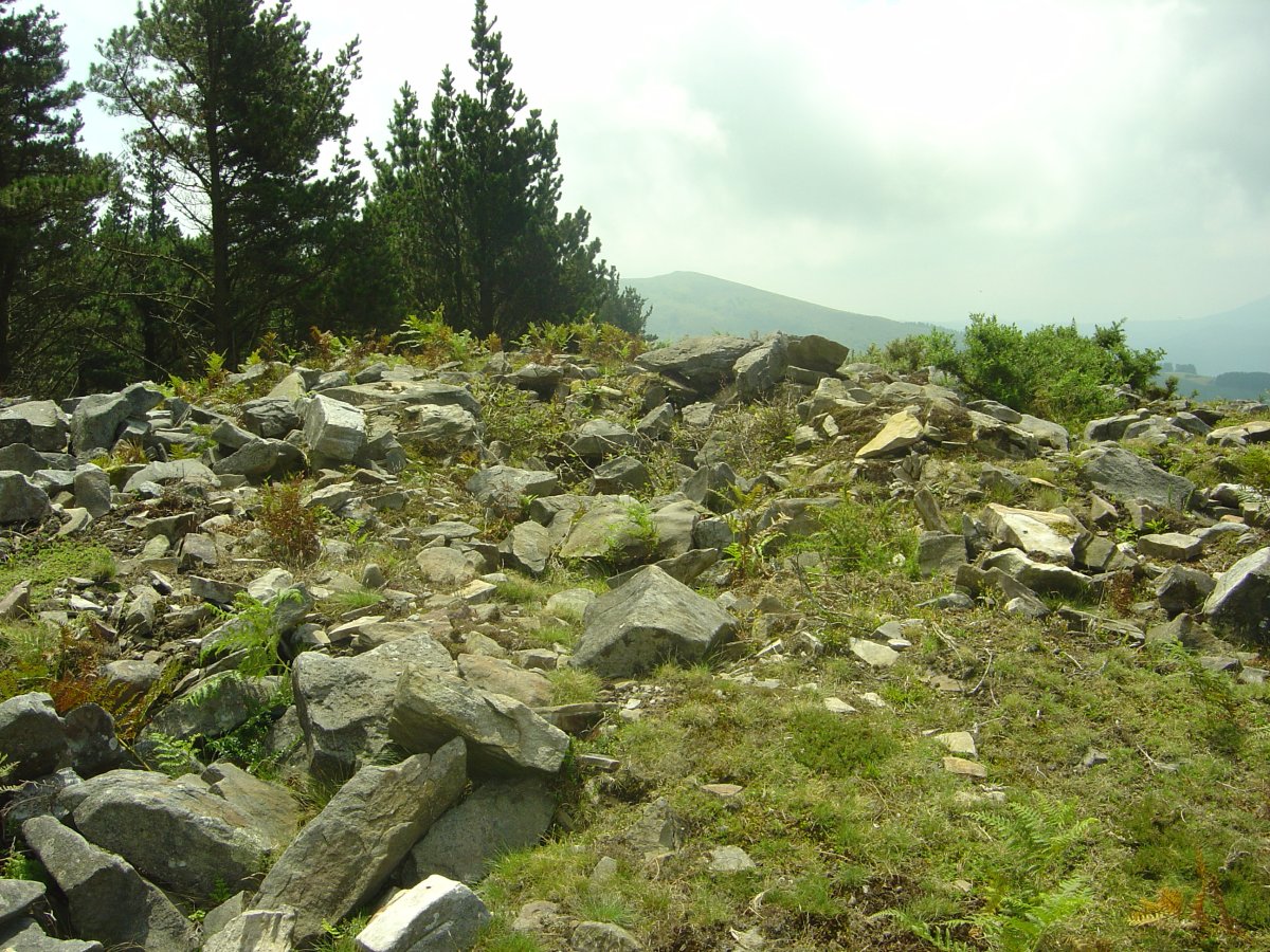 Dólmen Campo Ventoso 6  (Julio 2011)