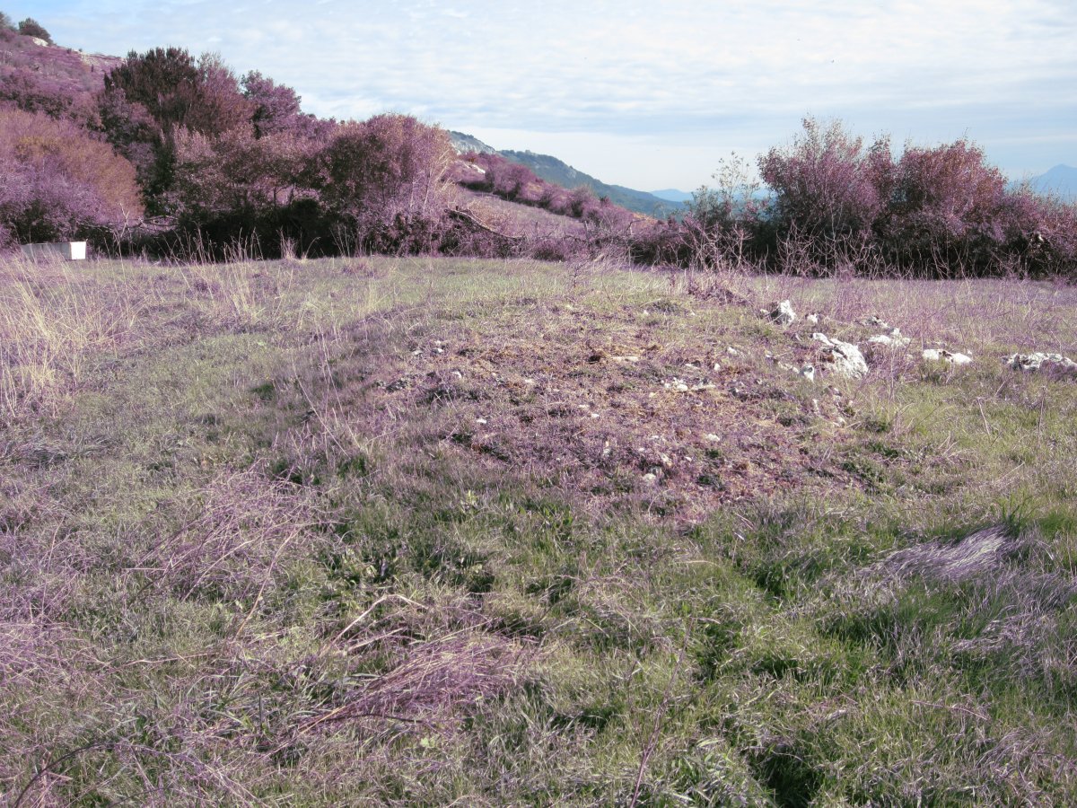Fondo de Cabaña Solla (Octubre 2012)