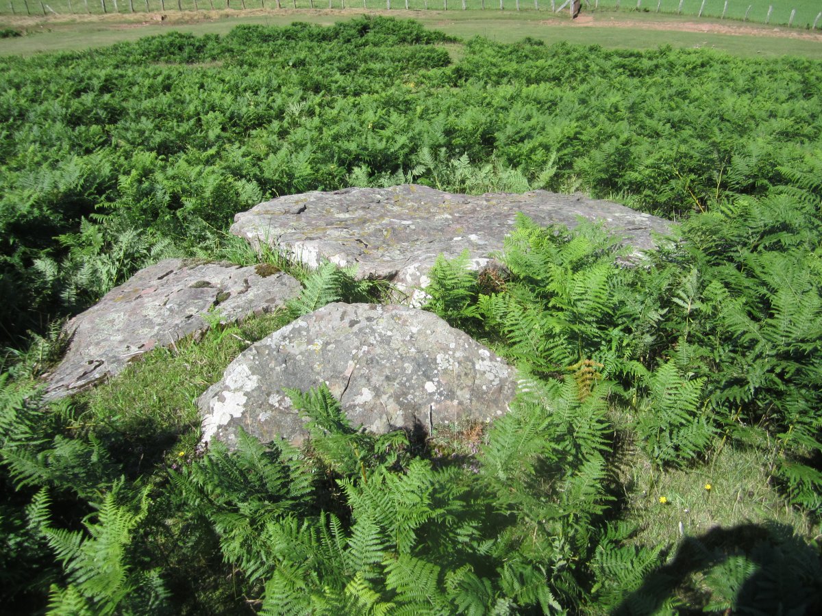 Menhir Berdaritz 2 (Julio 2012)