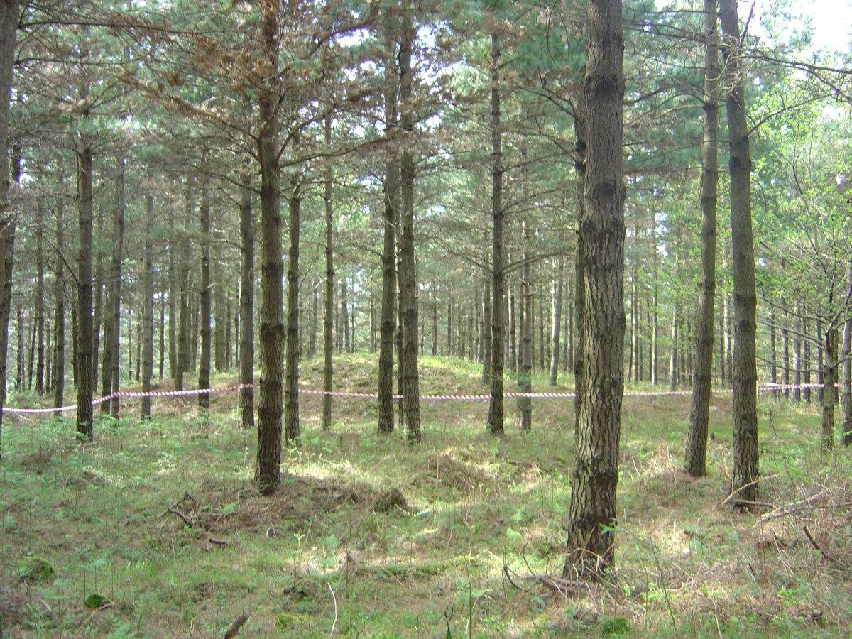 Dólmen Mejandi  (Mayo 2012)