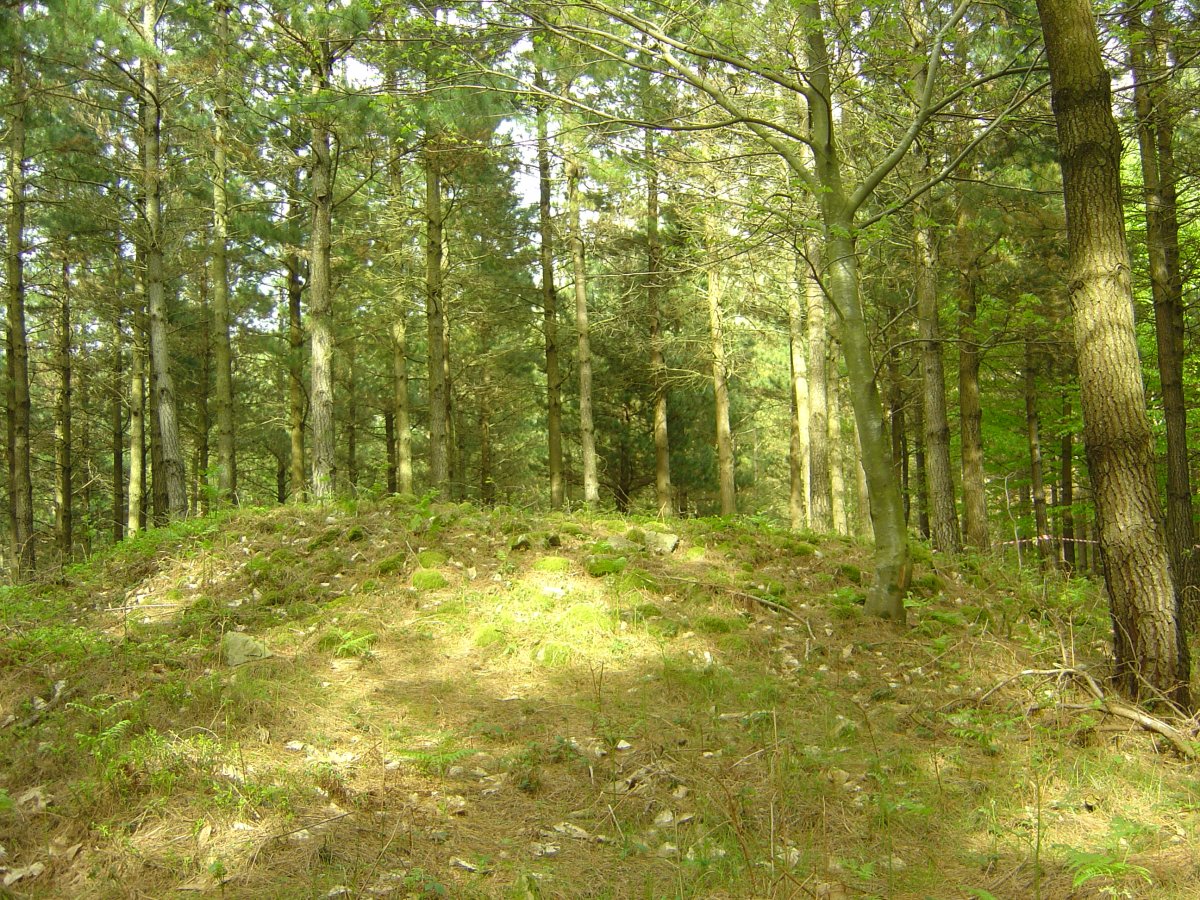 Dólmen Mejandi  (Mayo 2012)