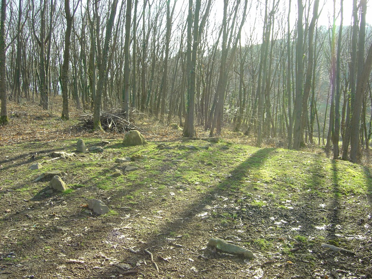 Cromlech Algorrieta   (Febrero 2012