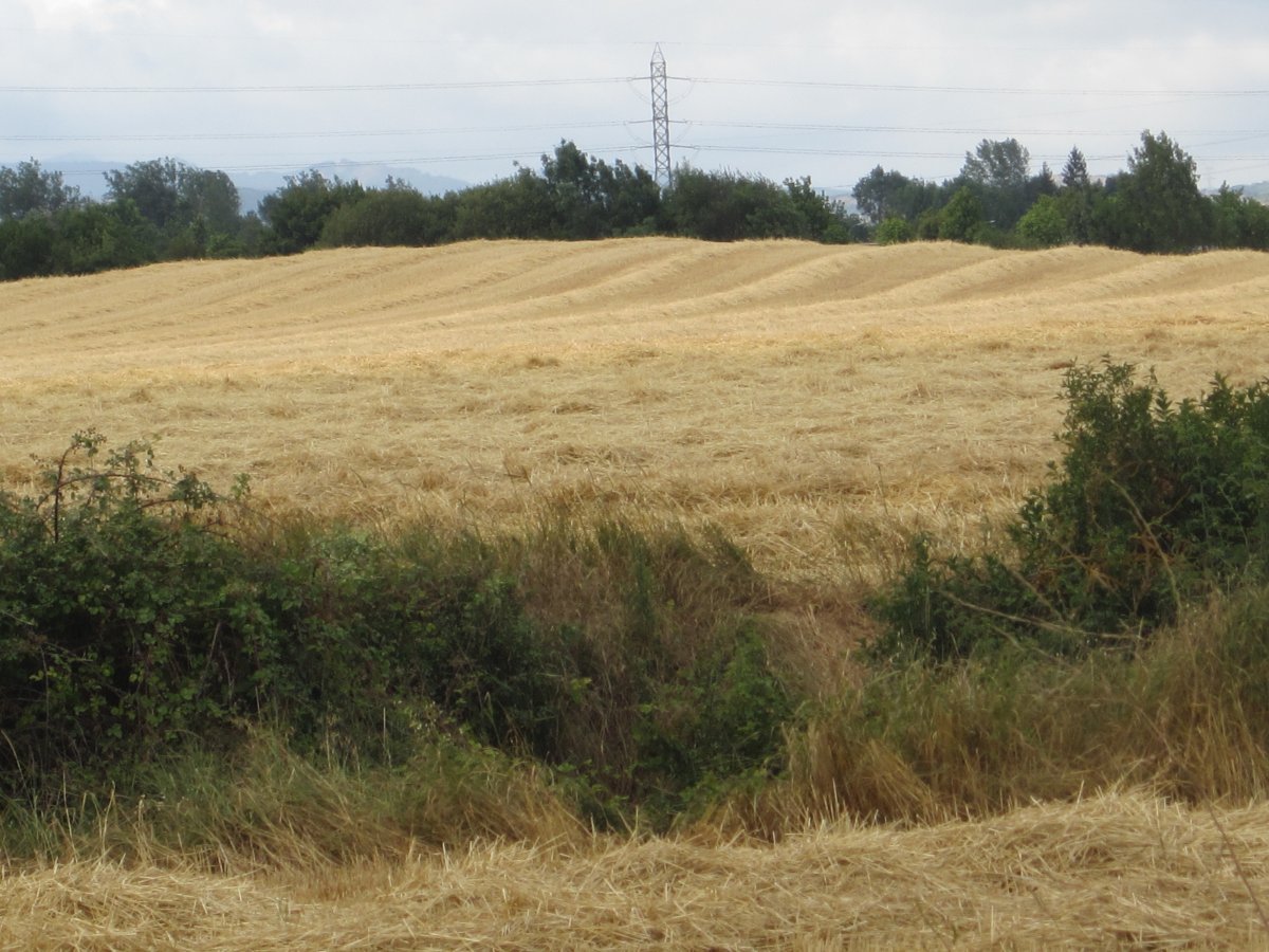Túmulo Lakondoa   (Agosto 2012)