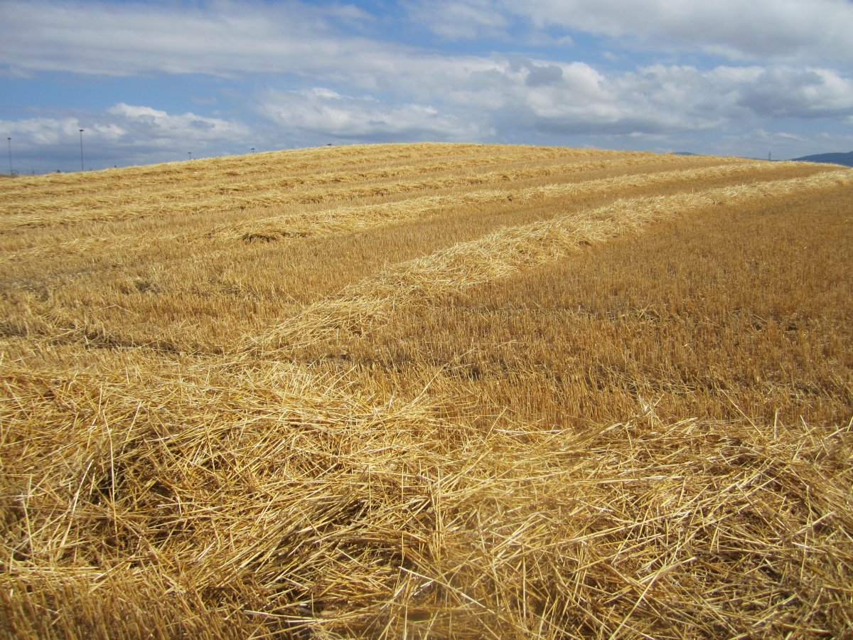Túmulo Lakondoa  (Agosto 2012)