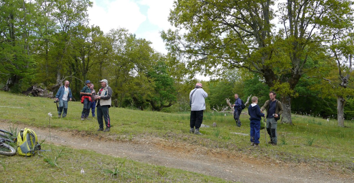 Hilarriak kuadrilla Saiberri inguruetan