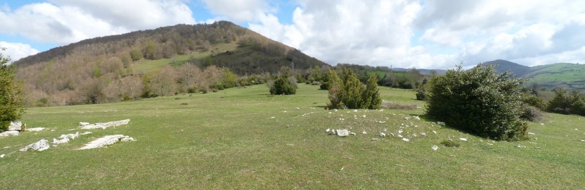 Gurutxagako eremu tumularra