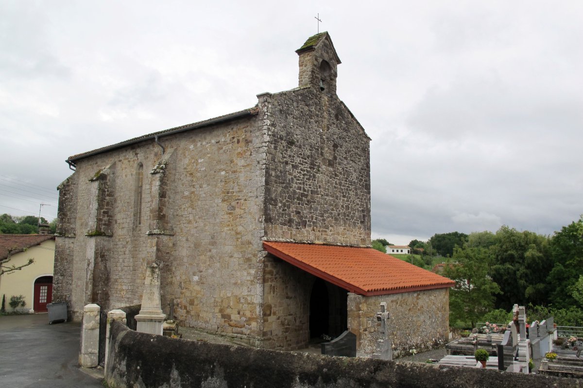 Asuncion eliza, Erango