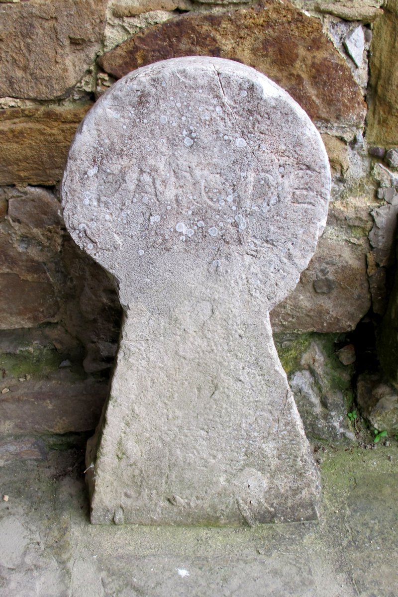 Asuncion eliza, Erango